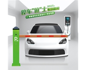 陵县RG-CW系列车位小道闸